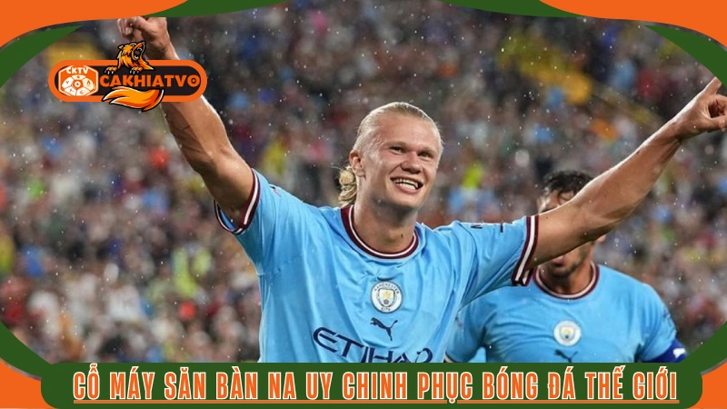 Tiểu sử Erling Haaland và thành công tại Borussia Dortmund
