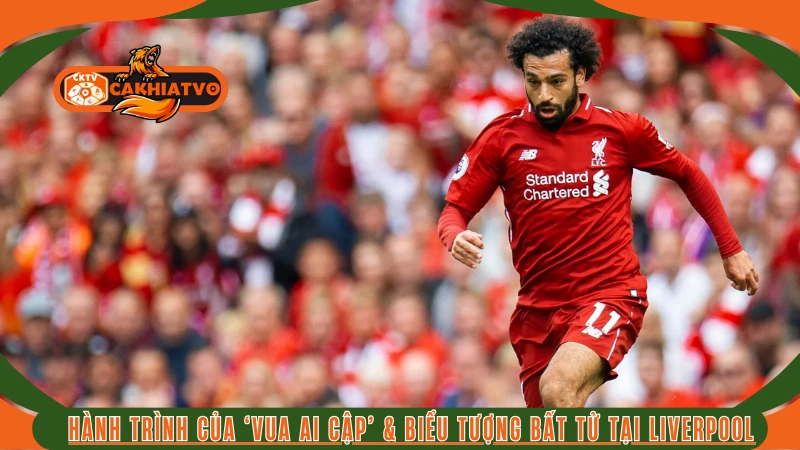 Tiểu sử Mohamed Salah và bước ngoặt sự nghiệp tại AS Roma