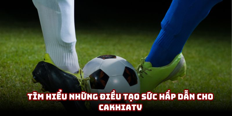 Tìm hiểu những điều tạo sức hấp dẫn cho CakhiaTV Tìm hiểu những điều tạo sức hấp dẫn cho CakhiaTV